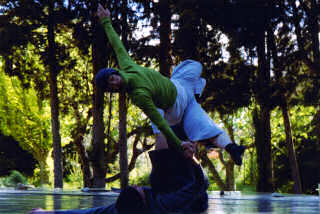 Le Mas de la Danse à Fontvieille (2004)
